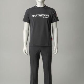 Camiseta Cinza Modelo Novo do uniforme do Colégio Parthenon, vista de frente